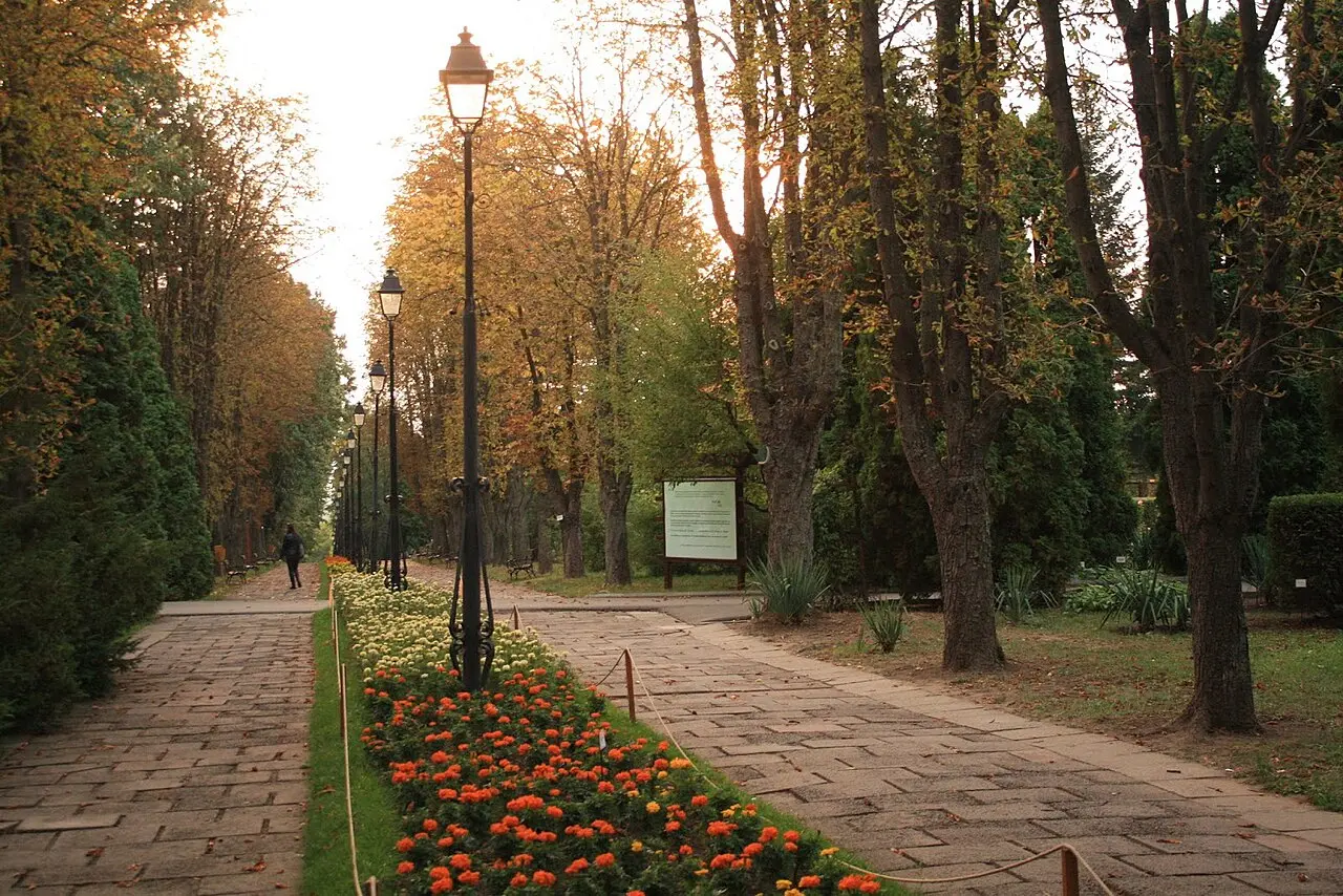 Galerie foto 2