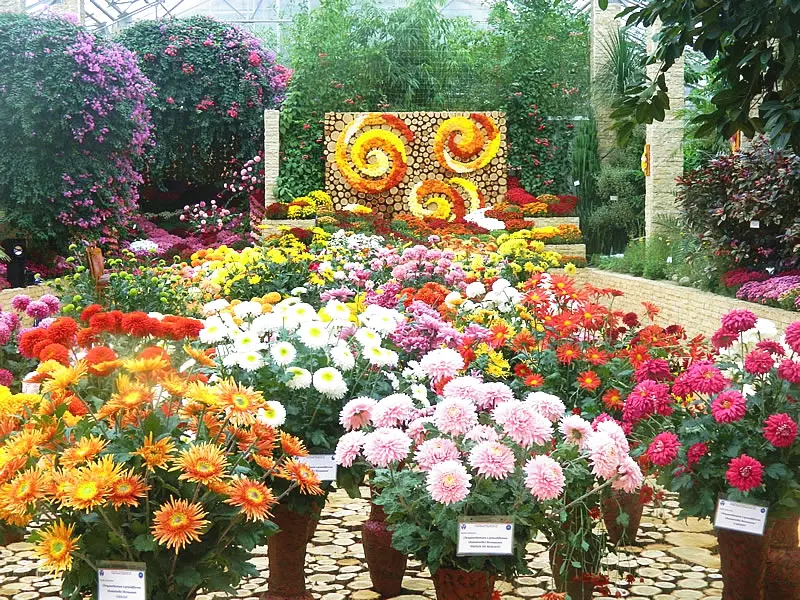 Galerie foto 2