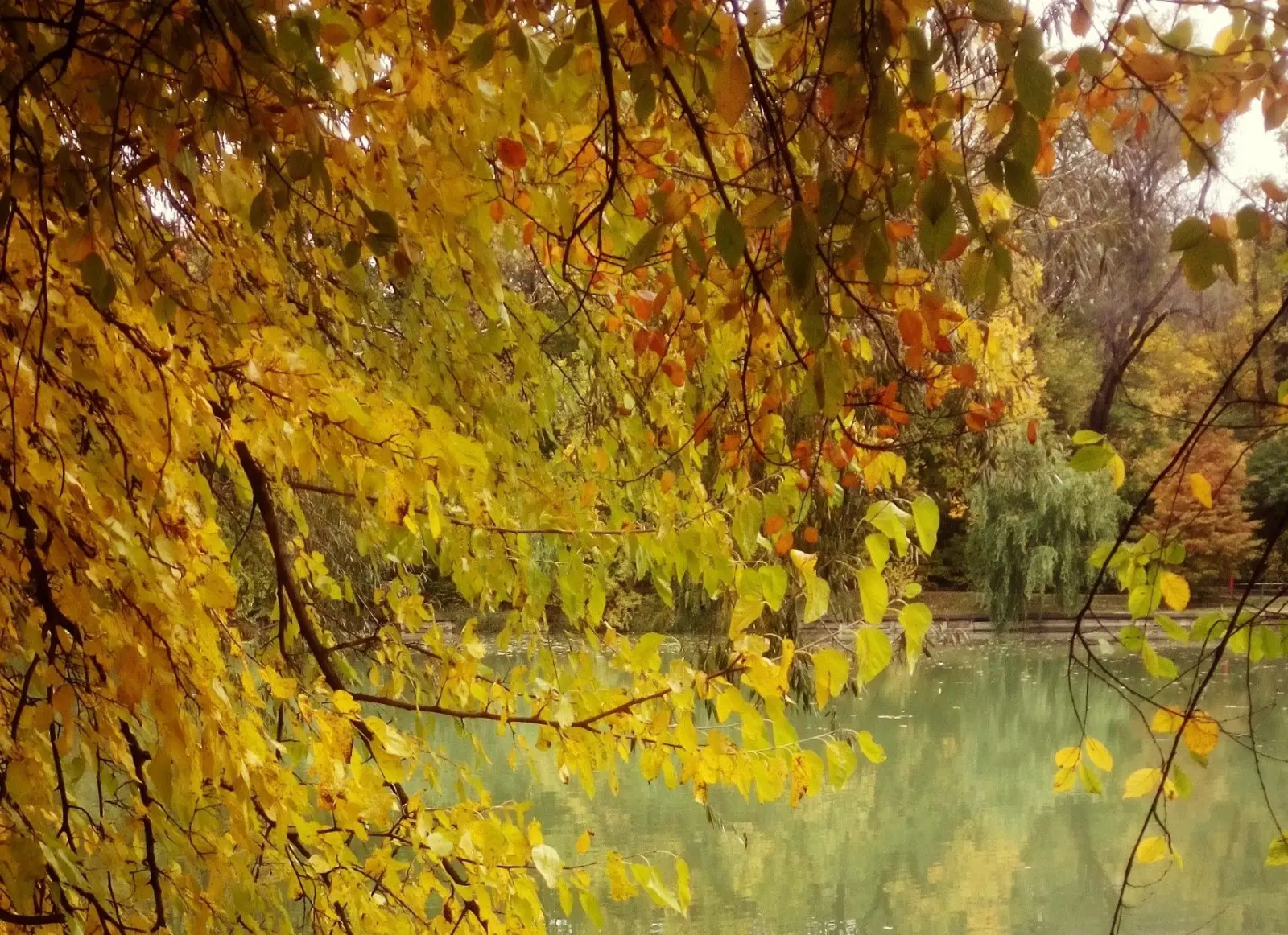 Vreme extremă la Iași: Cod galben de caniculă, urmat de vijelii