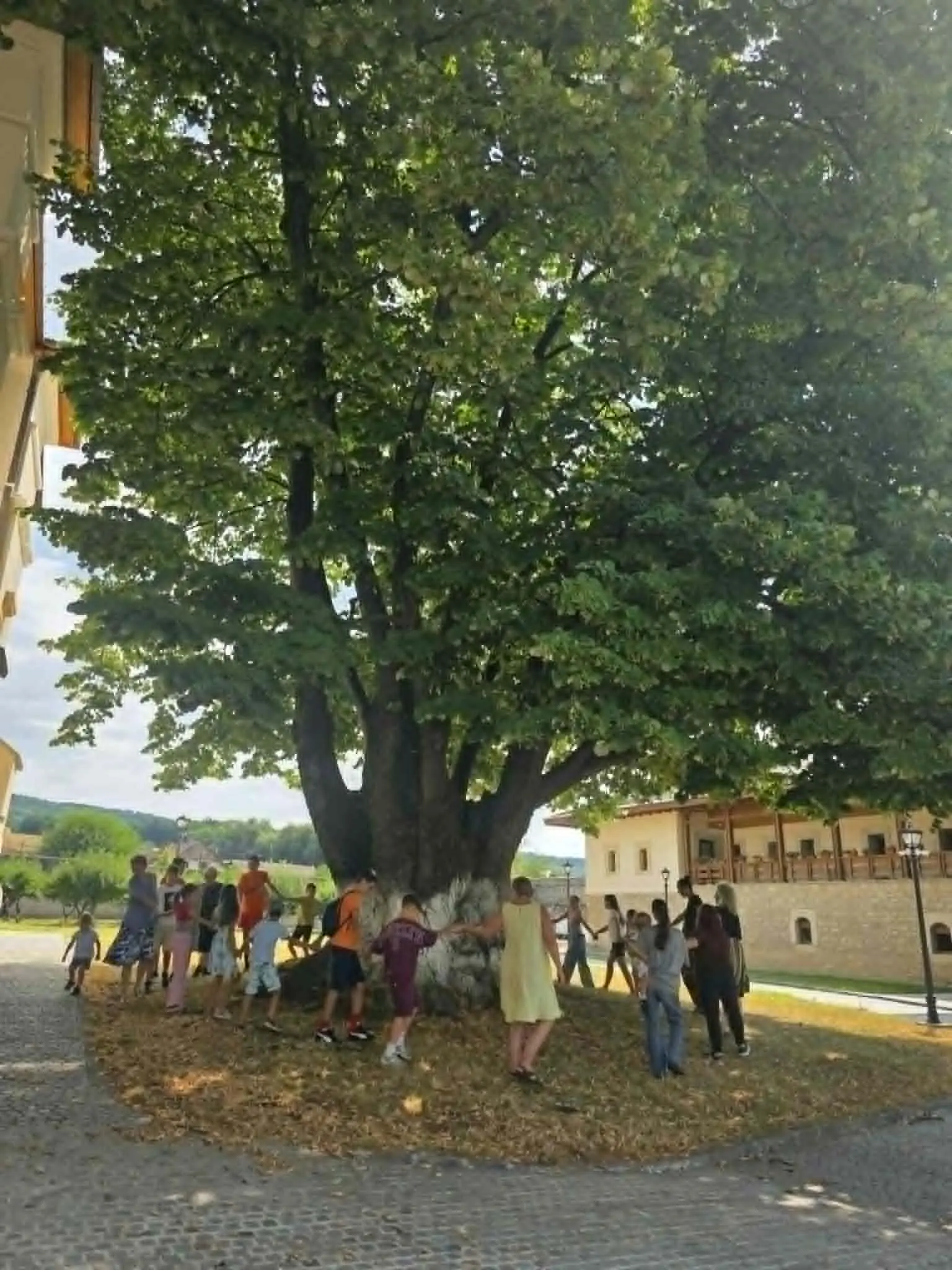 Galerie foto 2