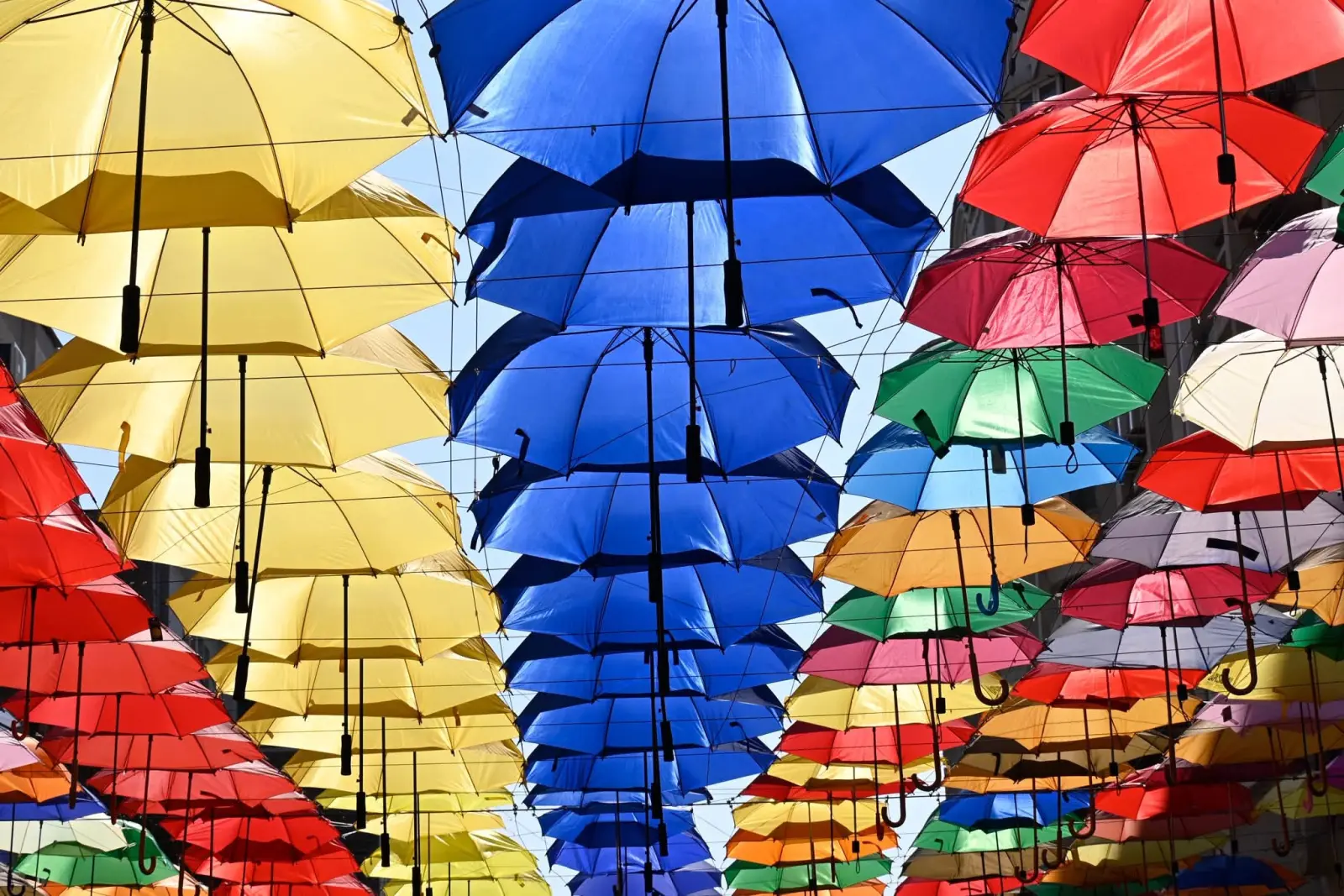 Festivalul Străzii Lăpușneanu a adunat mii de oameni în centrul Iașului. Aproximativ 7.000 de vizitatori în doar trei zile