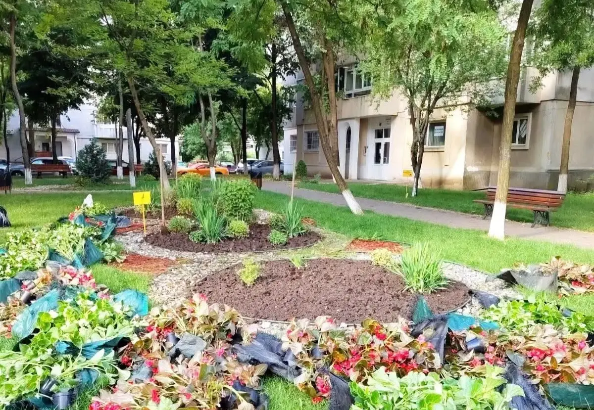 Ce se întâmplă cu proiectul „Iașul de după blocuri”. Investiție de peste 53 de milioane de lei în șase zone din oraș