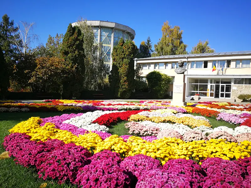 SURSĂ FOTO: Grădina Botanică Iași