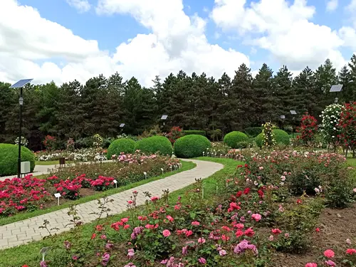 SURSĂ FOTO: Grădina Botanică Iași